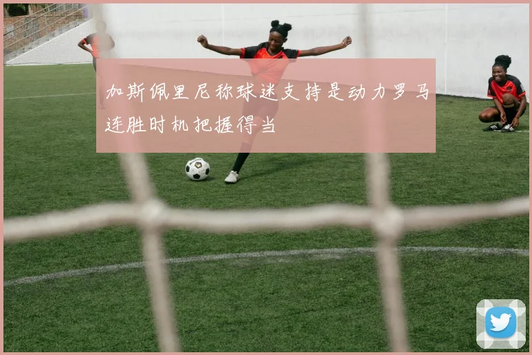 加斯佩里尼称球迷支持是动力罗马连胜时机把握得当