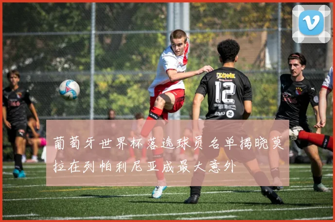 葡萄牙世界杯落选球员名单揭晓莫拉在列帕利尼亚成最大意外